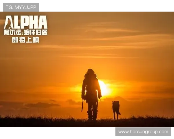 《一路风尘》：一场关于人生、梦想与归途的史诗